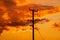 Wooden electricity distribution pole and cables at sunset. UK