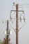 Wooden electricity poles with wires, insulators and transformer