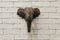 Wooden elephant head hanging on a white brick wall