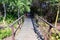 Wooden elevated pathway in woodland nature park