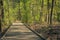 Wooden, elevated walkway throug the forest of Mastenbos in Kapellen, Belgium