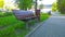 Wooden empty bench for rest and trash container in city summer park. Concept of cleanliness, ecology and comfortable urban