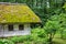 Wooden ethnic house with thatched roof. Halych Ethnography museum, Ukraine