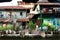 Wooden facades of old rustic houses on riverbanks of Bangkok. Vintage homes and plants on narrow street in Thailand