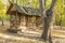 Wooden feeder for birds and squirrels in the autumn park