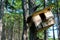 Wooden feeder hanging in the tree