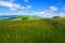 Wooden fence across mountain pasture, blue sky with clouds. Ukraine, carpathians.