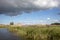 Wooden fence and aquatic plants in a ditch, yellow reed, polder in Holland, rainy cloudy sky