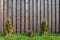 A wooden fence of brown upright boards, with a lawn of lush green grass and bushes