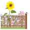 Wooden fence, flowers and blue tit