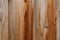 Wooden Fence Grain Background in Color