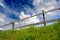 Wooden fence on grassland