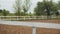 Wooden Fence In The Horse Riding Club A Dark Bay Horse In The Distant Background