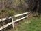 Wooden fence leads into the woods