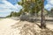 Wooden fence with pine trees in the sunlight. Sandy beach, countryside