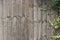 Wooden Fence with Plants & Vines