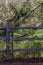 Wooden fenceing near river and forest land