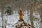 Wooden figurine on stones in the forest