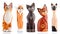 Wooden figurines, decorative figurines, cats,