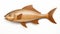 Wooden Fish Sculpture: A Detailed Realism In Precisionist Style