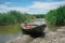 Wooden fishing boat in the middle of huge grass in the bay