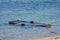 Wooden fishing boat submerged in water