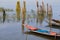 Wooden fishing boat on a swamp marsh lake water. Patches of green vegetation are seen. Photo taken near chilika lake, rambha