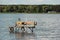 Wooden fishing platform in water, with tire fenders and chair