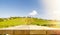 Wooden flat Tabletop against vineyard hill in late summer