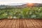 wooden floor with blurred of green tea plantation with sunrise b