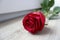 On the wooden floor, the bright atmosphere of soft white light mesmerized the beauty reflected by the red rose.