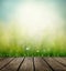 Wooden Floor, Grass, Flower And Butterfly