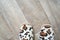 Wooden floor and home slippers