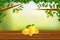 Wooden Floor with Mangos and Nature Background Vector illustration