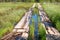 Wooden flooring from the boards through the swamp