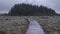 Wooden flooring trail in the swamp in autumn. Ecological trail in Sestroretsk