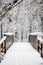 Wooden foot bridge covered in snow in a winter forest