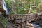 Wooden Foot Bridge by Ramona Falls