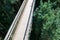 Wooden footbridge crossing high up over a forest