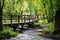 wooden footbridge crossing over a creek