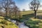 Wooden footbridge and ford crossing a small stream