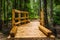 Wooden Footbridge in a Forest