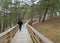 A wooden footbridge, human silhouette, indistinct and cloudy winter day in nature