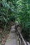 Wooden footbridge inside the forest