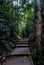 Wooden footbridge inside the forest