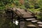 Wooden footbridge in japanese garden