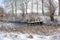 Wooden footbridge or jetty covered with snow on the shore of a lake with reeds  bushes and bare trees  idyllic landscape on a