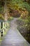 wooden footbridge at Lake Ratzeburg in autumn early in the morning