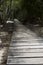 Wooden footbridge in the mangrove forest, Seychelles