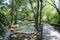 Wooden footbridge in the natural Park Krka